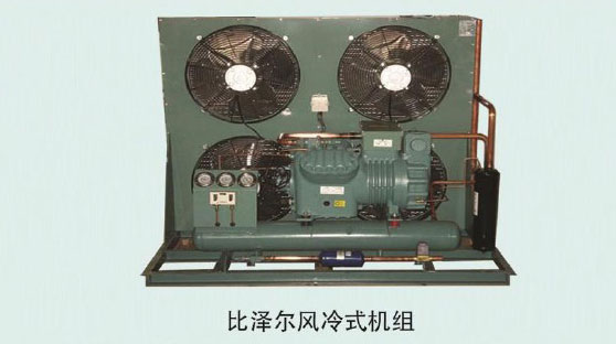 Bitzer air-cooled unit